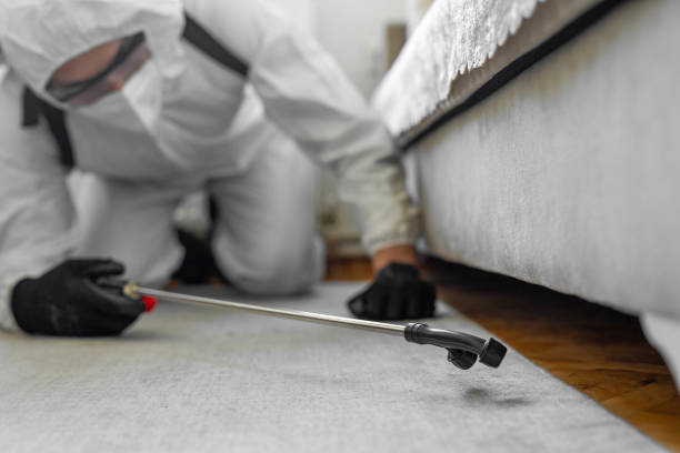 Professional Ant Control technician working in East Hemet, CA