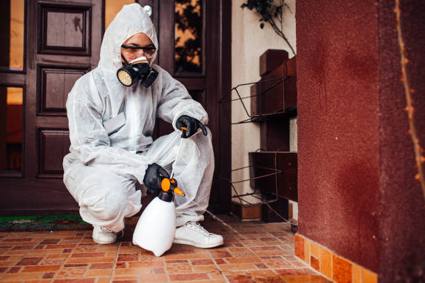 Reliable Ant Control contractor in East Hemet, CA by Show Me Pest Control